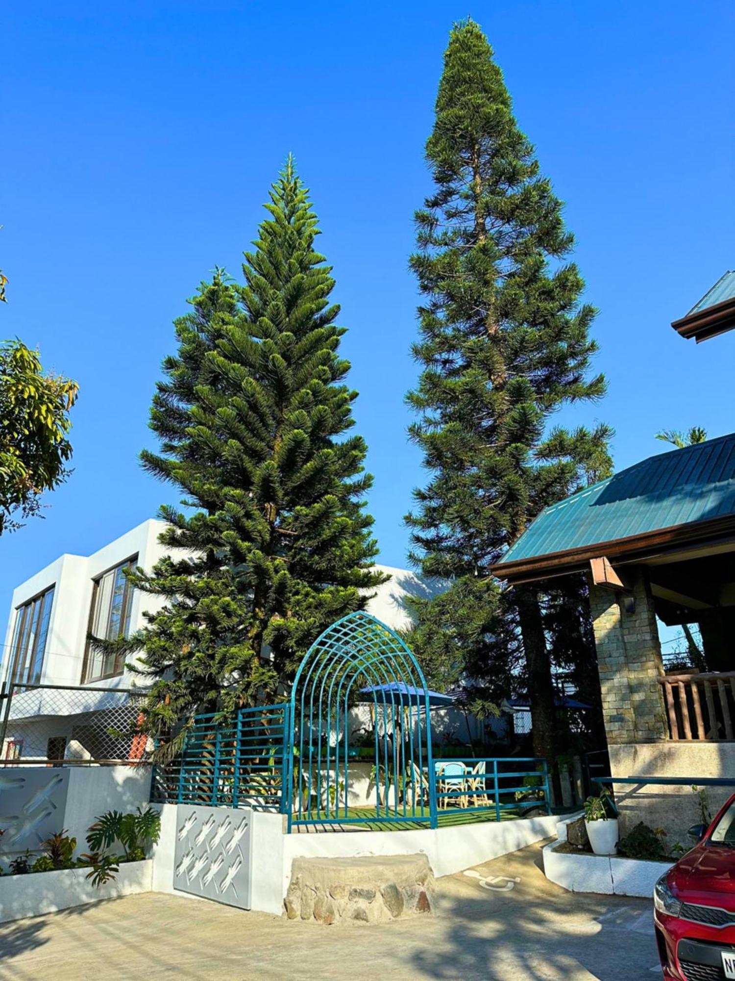 大雅台生态小屋酒店 外观 照片