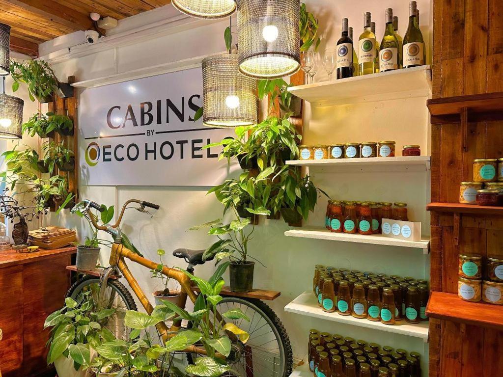 大雅台生态小屋酒店 外观 照片