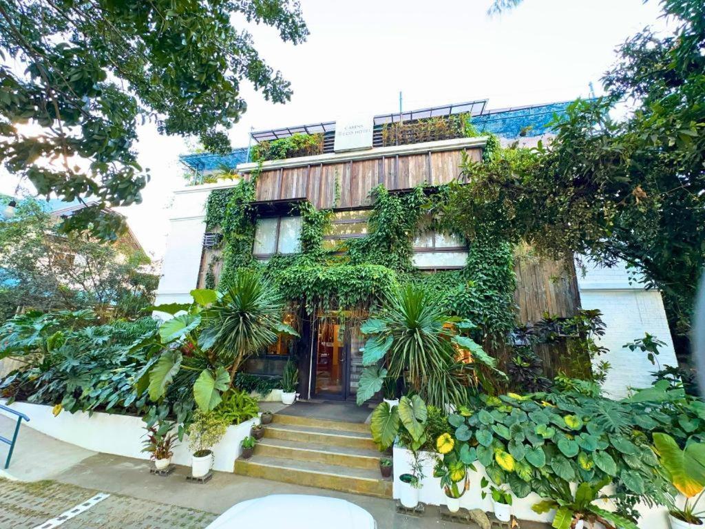 大雅台生态小屋酒店 外观 照片